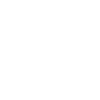 RaNie Pay Plus Logo